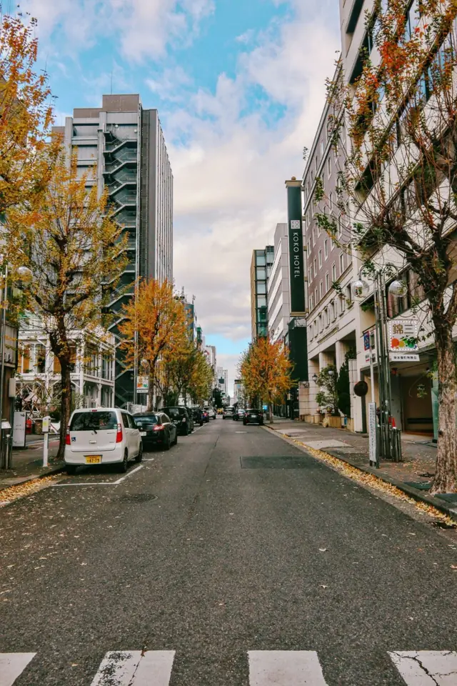 A quiet street with yellow trees