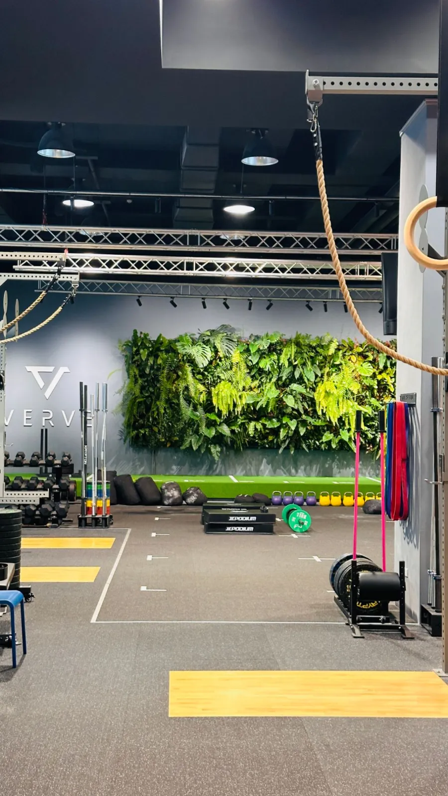 A gym floor with a living plant wall, kettlebells, ropes and rings